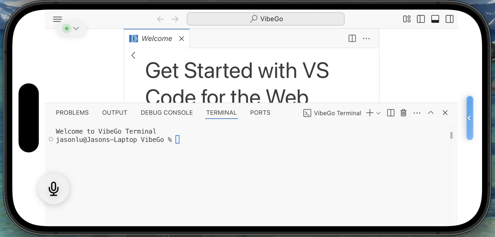 Terminal-only layout