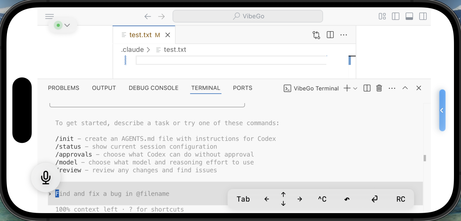 Codex and editor working together