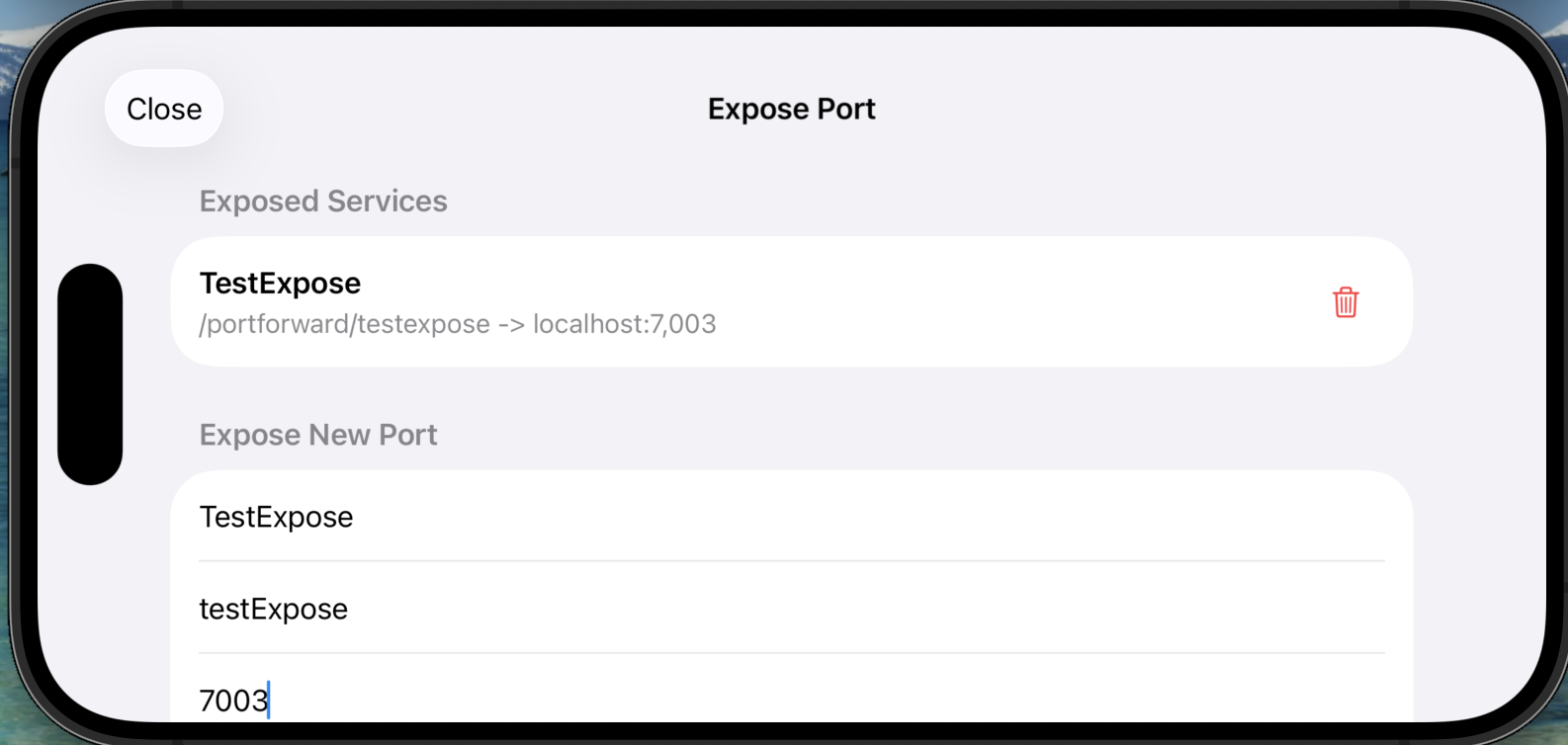 Expose port confirmation