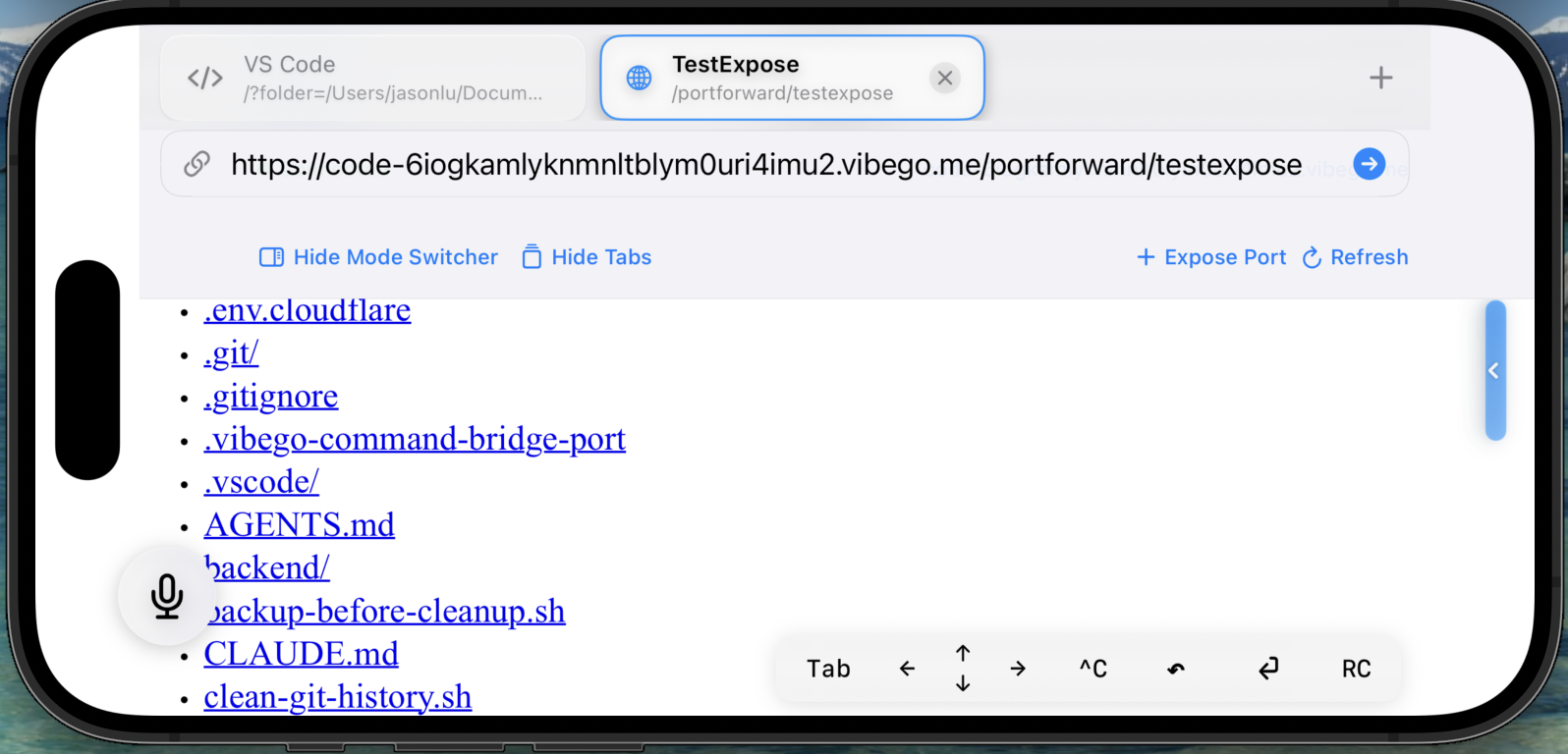 Expose port browser preview